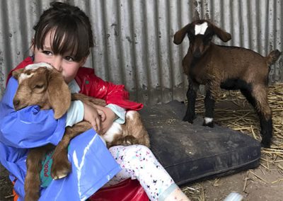 Tilly with the baby goats
